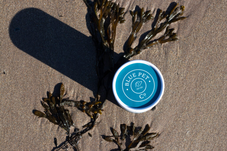 Can Dogs Eat Seaweed?